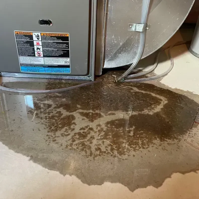 Appliance Leak Cleanup in Pocahontas, IA